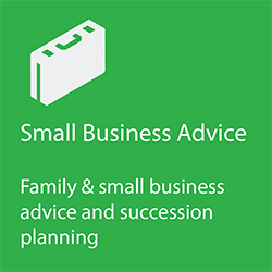 small business advice